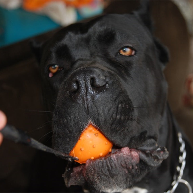 Balle en Caoutchouc TitanJouets - Résistante avec Corde pour Chiens